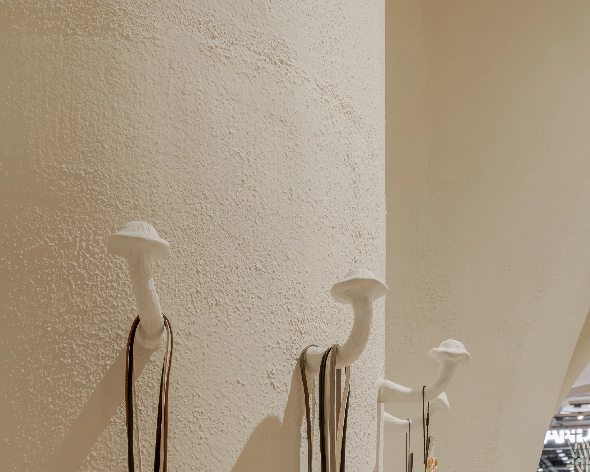 Gallery image 19