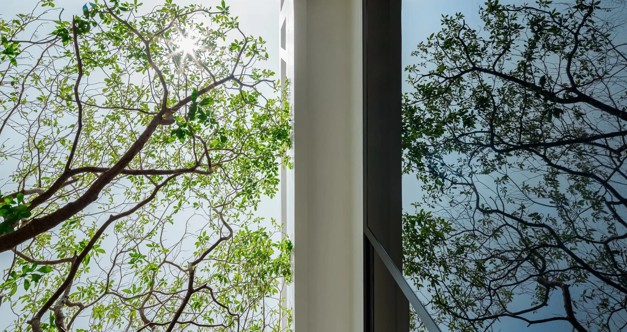 Gallery image 8