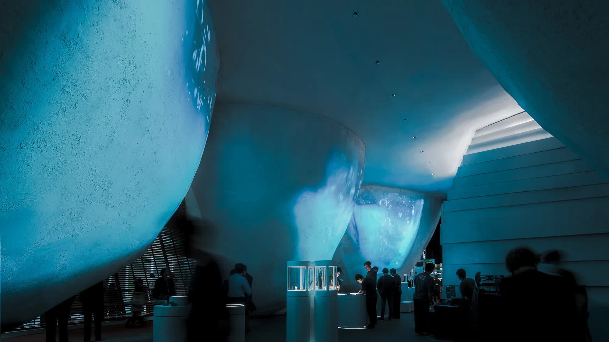 Gallery image 6